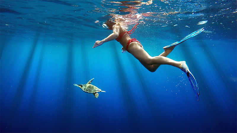 FAANU MUDUGA (ARI ATOLL) - MAL� ATOLL � KODHIPPARU SAND BANK � 4tim 45min